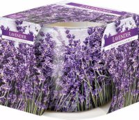 Svka ve skle 100g lavender